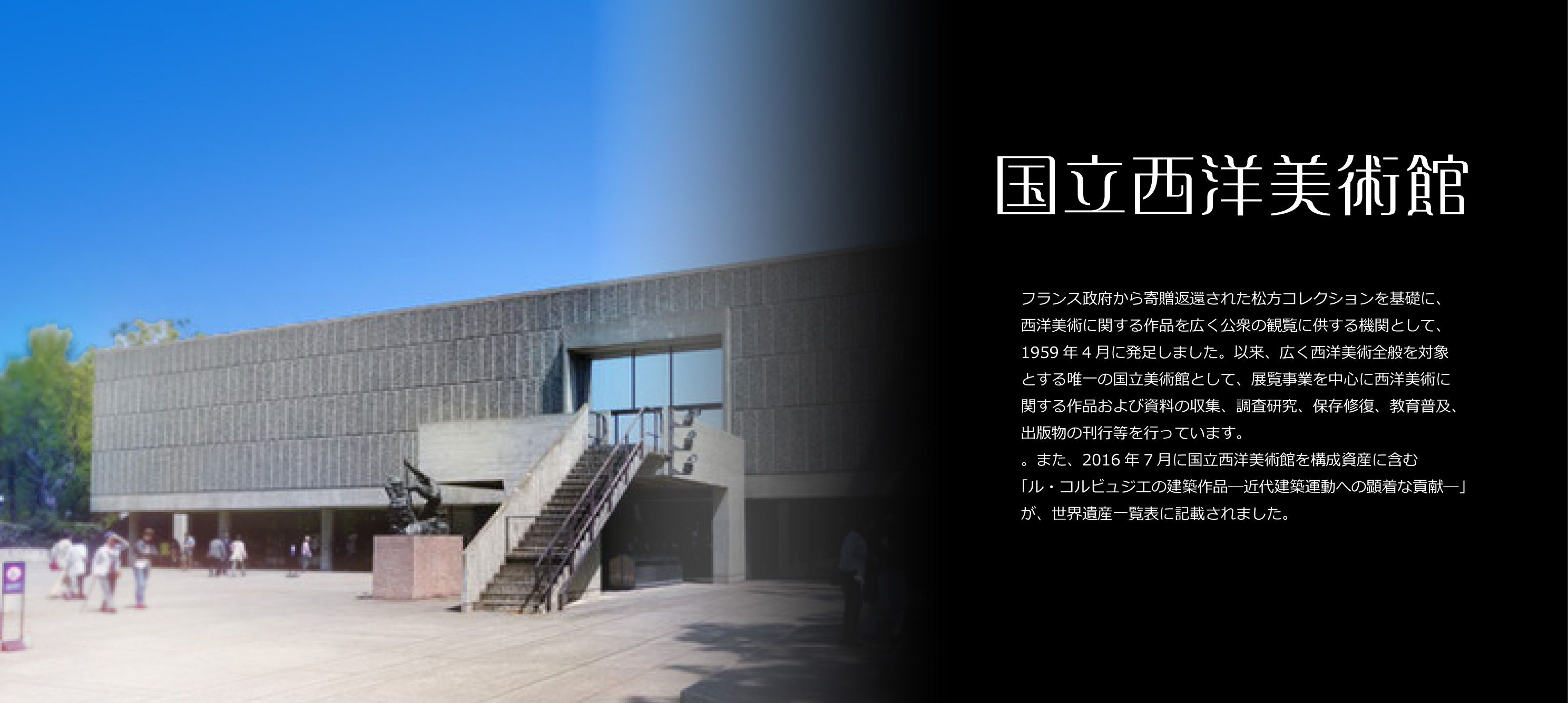 seiyou