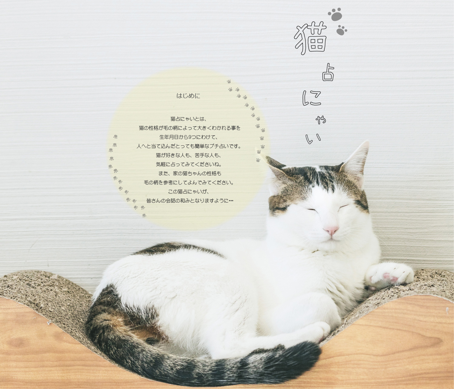猫占にゃい 猫占にゃい